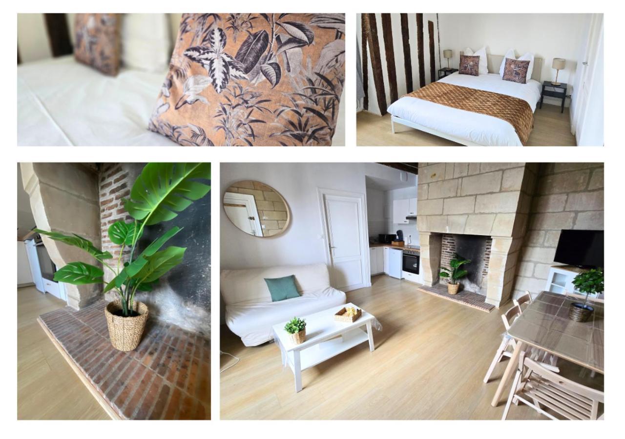 Le Constantine - Quartier Historique - Charme & Ancien Apartment Tours Luaran gambar
